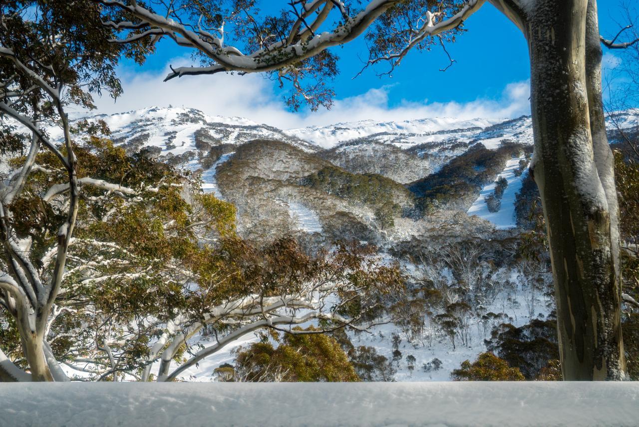 Pure Chalet Thredbo Exterior photo